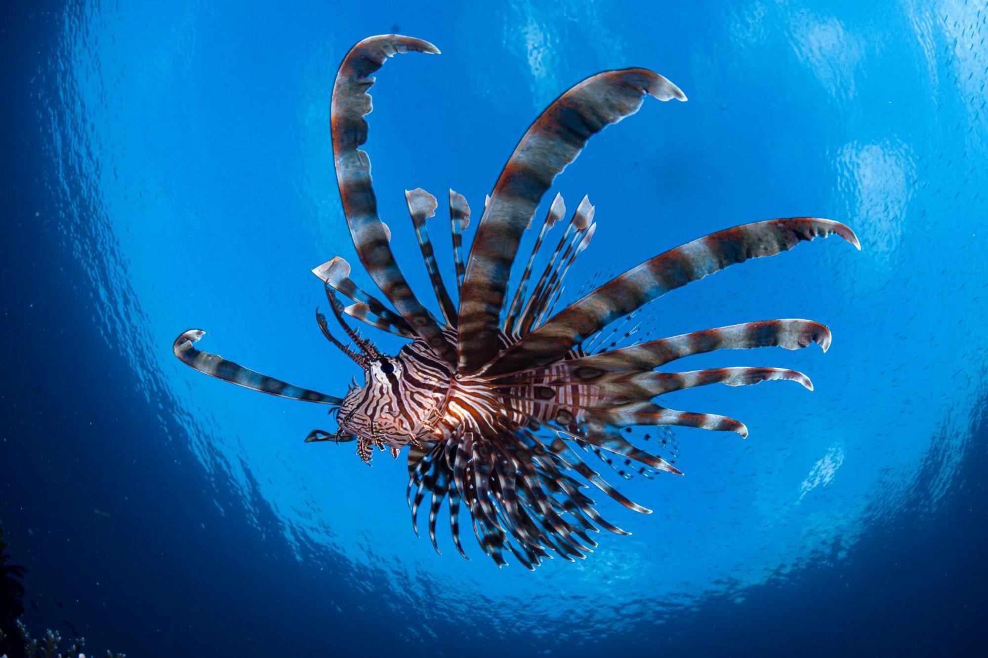 Emoha Dive Resort Santander Zewnętrze zdjęcie