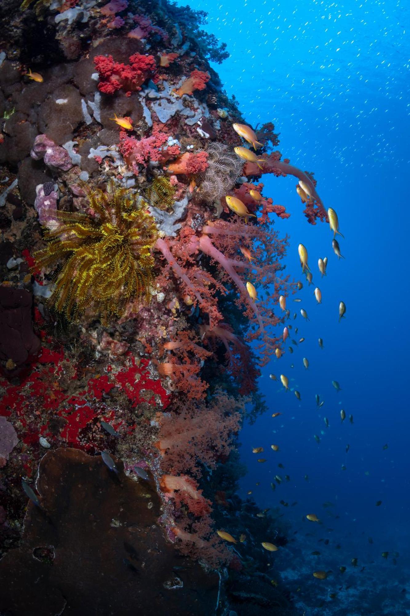 Emoha Dive Resort Santander Zewnętrze zdjęcie